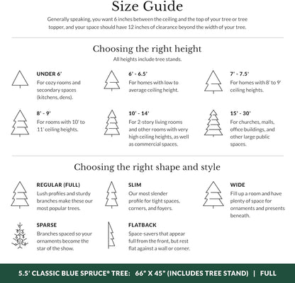 Balsam Hill 5.5 ft Unlit Classic Blue Spruce - Artificial Christmas Tree with Premium Stand & Storage Bag for Indoor Holiday Decorating