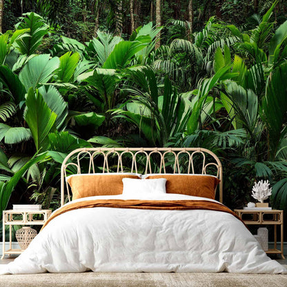 artgeist Wall Mural Nature 193x138 in - XXL Peel and Stick Self-Adhesive Wallpaper Removable Large Sticker Foil Wall Decor Print Picture Image Design Botanical Plants Jungle Leaves b-B-0594-a-a