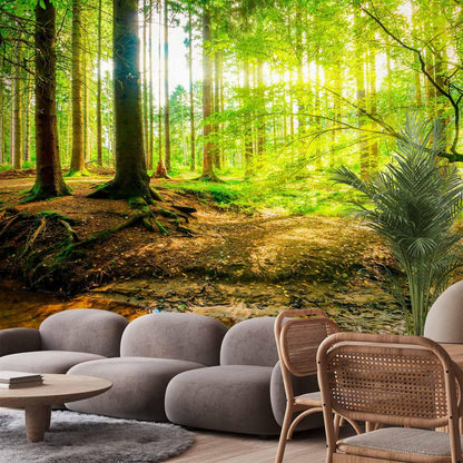 artgeist Wall Mural Peel and Stick Forest Landscape 212x98 in - XXL Self-Adhesive Corner Wallpaper Removable Large Sticker Foil Angle Wallpaper Wall Decor Print Green Sun Nature Tree c-B-10040-a-a