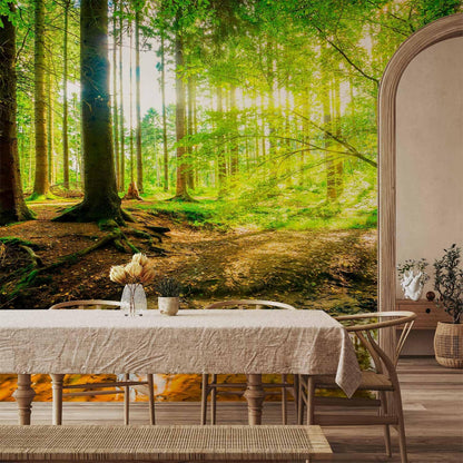artgeist Wall Mural Peel and Stick Forest Landscape 212x98 in - XXL Self-Adhesive Corner Wallpaper Removable Large Sticker Foil Angle Wallpaper Wall Decor Print Green Sun Nature Tree c-B-10040-a-a