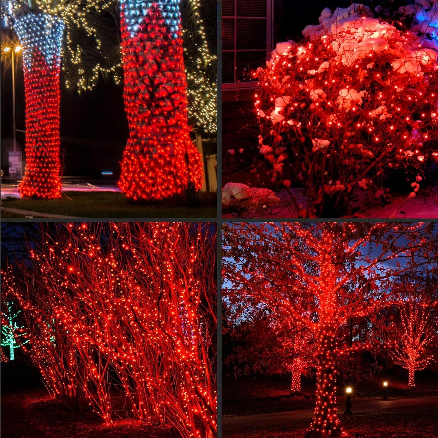 200LED (4pk of 50L) String Lights, LED Christmas Lights, 6" SPACING,Green Wire,RED