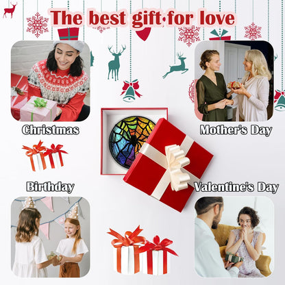 Stained Glass Suncatcher, Colorful Spider Sun Catcher Black Insect Stain Glass Window Hanging Decoration Mother's Day Birthday Gifts for Women Men Mom Nana 9.8 in