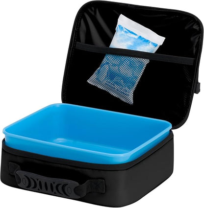 Northwest NCAA unisex-adult "Cooltime" Lunch Kit