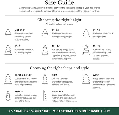 Balsam Hill 7.5ft Unlit Stratford Spruce - Slim Artificial Christmas Tree with True Needle Foliage & Premium Stand for Small Spaces