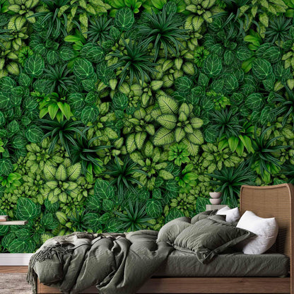 artgeist Wall Mural Plants 116x83 in - XXL Peel and Stick Self-Adhesive Wallpaper Removable Large Sticker Foil Wall Decor Print Picture Image Design Nature Botanics Tropical Leaves b-B-0601-a-a