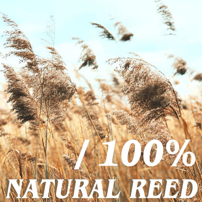 Natural Reed Fencing Rolls,5.5FT X 16.4FT Reed Screen Curtain Fence Covering Privacy Bamboo for Outdoor Backyard Patio（Yellow）