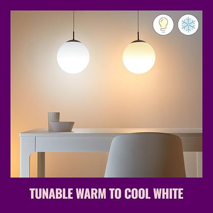 WiZ Clear 60W A19 Tunable White Filament LED Smart Bulb - Pack of 1 - E26- Indoor - Connects to Your Existing Wi-Fi - Control with Voice or App + Activate with Motion - Matter Compatible