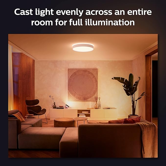 Philips Hue Enrave Large Ceiling Lamp, White - White Ambiance Warm-to-Cool White Smart LED Light - 1 Pack - Control with Hue App - Compatible with Alexa, Google Assistant, and Apple Homekit