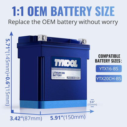 TYKOOL YTX20CH-BS Lithium LiFePO4 Motorcycle Battery, 12V 8Ah, 480CCA, Built in BMS, Powersports Battery,for ATV,UTV,Jet Skis, Snowmobiles, Scooters