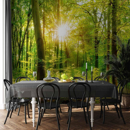 artgeist Premium Wall Mural Forest 216x98 in - Non-Woven Photo Wallpaper Art Print Fleece Wall Mural Decoration Poster Picture Design Landscape Nature Green Tree Panorama Sunshine b-B-0383-a-a