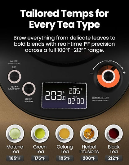 Vianté Electric Gooseneck Kettle with Precise Temperature Control. Pour Over Coffee & Tea Kettle. Boil-Dry Protection & Keep Warm Function. Stainless Steel, BPA-Free. Includes #2 Filters. 0.8L