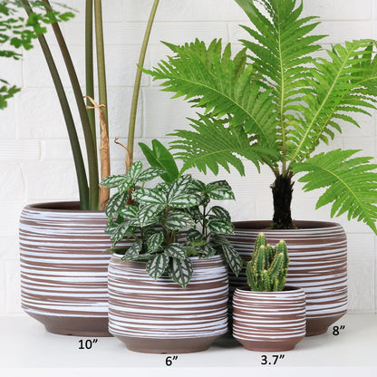 Mini Succulent Planter Set – 3.7 Inch Ceramic Pots with Drainage for Indoor Plants, Small Decorative Flower Pots for Cactus and House Plants, Set of 4