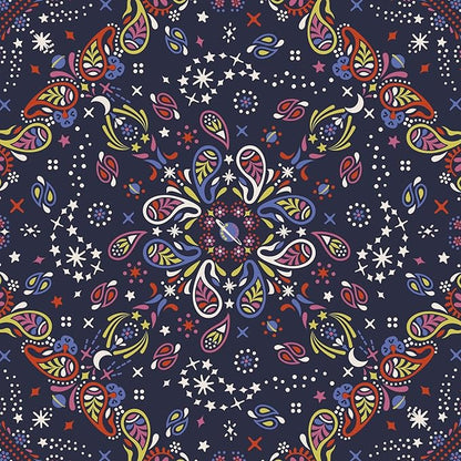 Premium Cotton Lunch Bag, Starry Paisley, One Size