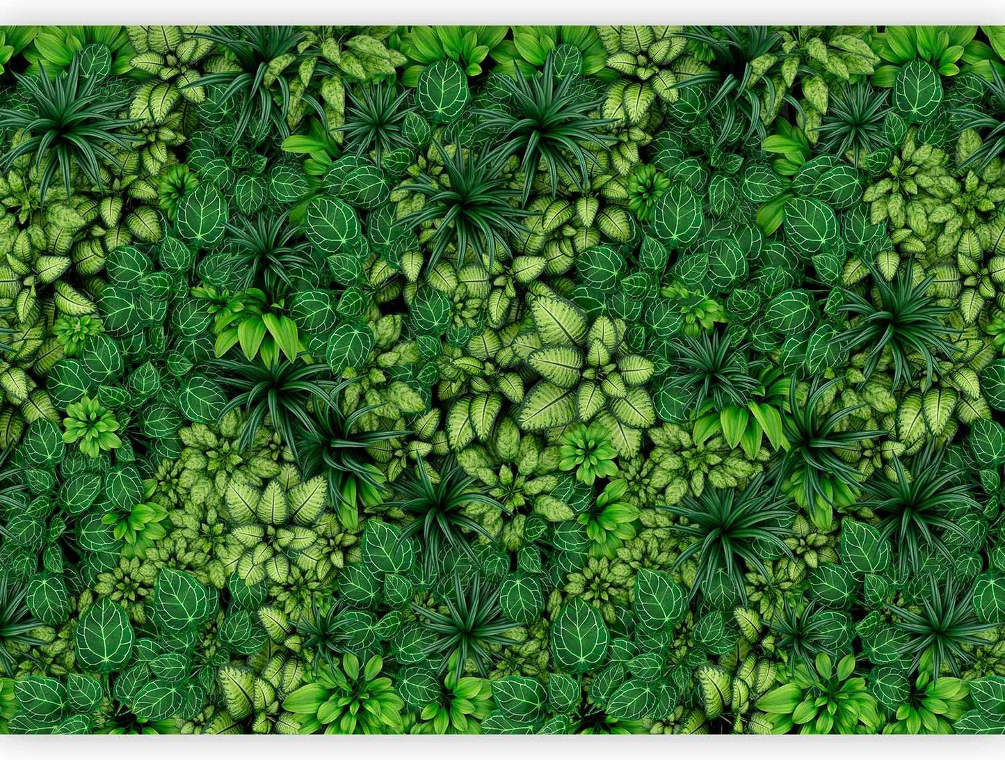 artgeist Wall Mural Plants 138x101 in - XXL Non-Woven Wallpaper Fleece Wall Decor Photo Print Picture Image Design Nature Botanics Tropical Leaves b-B-0601-a-a