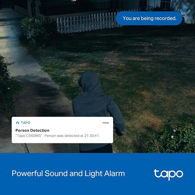 Tapo 4K 8MP Wired Pan/Tilt Outdoor Security Camera, Free Person/Vehicle Detect & 360° View, Color Night, Local AI, SD/Cloud Storage, Works w/Alexa & Google Assistant, 2.4 GHz WiFi C560WS