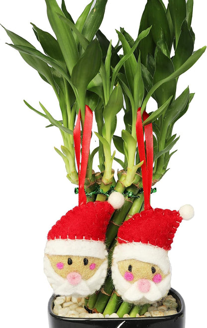 Christmas Ornaments 100% Pure New Zealand Wool Handmade Eco Friendly Christmas Decor Shower Nursery Decoration Fair Trade (4, Santa Claus)