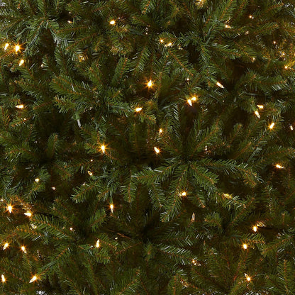 National Tree Company Pre-Lit Artificial Full Christmas Tree, Green, Dunhill Fir, Dual Color LED Lights, Includes PowerConnect and Stand, 7.5 Feet