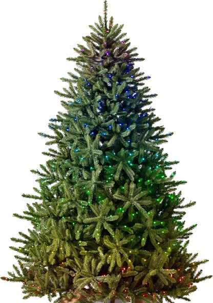 Balsam Hill 9.5ft Pre-Lit Classic Blue Spruce - Artificial Christmas Tree with 5,248+ Tips, Twinkly LED Smart Lights, Easy Plug System & Premium Stand for Indoor Holiday Decorating