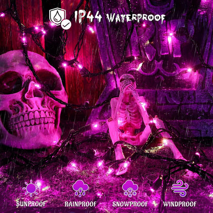 YOUNGAR Purple Halloween Lights, Clear Halloween Light Outdoor,13FT 50 UL Approved String Light with Black Wire,Incandescent Mini Waterproof Plug in for Indoor Tree Patio Garden Christmas Xmas Decor