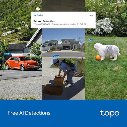 Tapo 4K 8MP Wired Pan/Tilt Outdoor Security Camera, Free Person/Vehicle Detect & 360° View, Color Night, Local AI, SD/Cloud Storage, Works w/Alexa & Google Assistant, 2.4 GHz WiFi C560WS