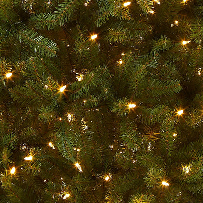 National Tree Company Pre-Lit Artificial Full Christmas Tree, Green, Dual Color LED Lights, Includes PowerConnect and Stand, 9 Feet
