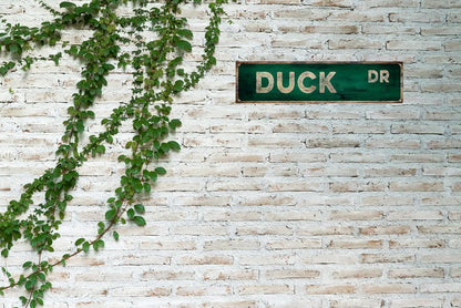 Vintage Tin Sign Retro Metal Duck DR Signs Stylish Wall Art Plaques for Home Decor Bathroom Kitchen House and Gothic Wall Decor or as a Unique Poster 16x4 in