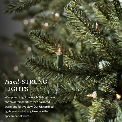 Balsam Hill 9.5ft Pre-Lit Classic Blue Spruce - Artificial Christmas Tree with 5,248+ Tips, 1600 Hand-Strung Clear LED Lights, Easy Plug System & Premium Stand for Indoor Holiday Decorating