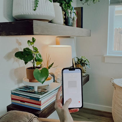 Feit Electric A1960CL/927CA/FIL/AG 60 Watt Equivalent WiFi Dimmable, No Hub Required, Alexa or Google Assistant, Filament A19 LED Smart Light Bulb, 4" H x 2.25" D, 2700K Soft White